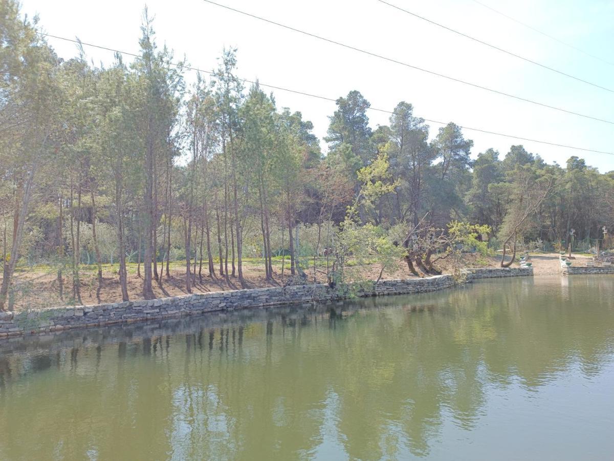 Kavalona Park Hotell Vlorë Eksteriør bilde
